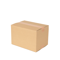 roop-item