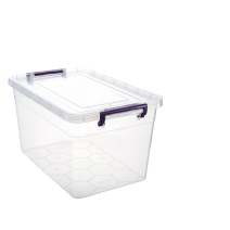 roop-item