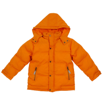 roop-item
